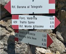 IMG_20260705_104106 - Silvano Dossi